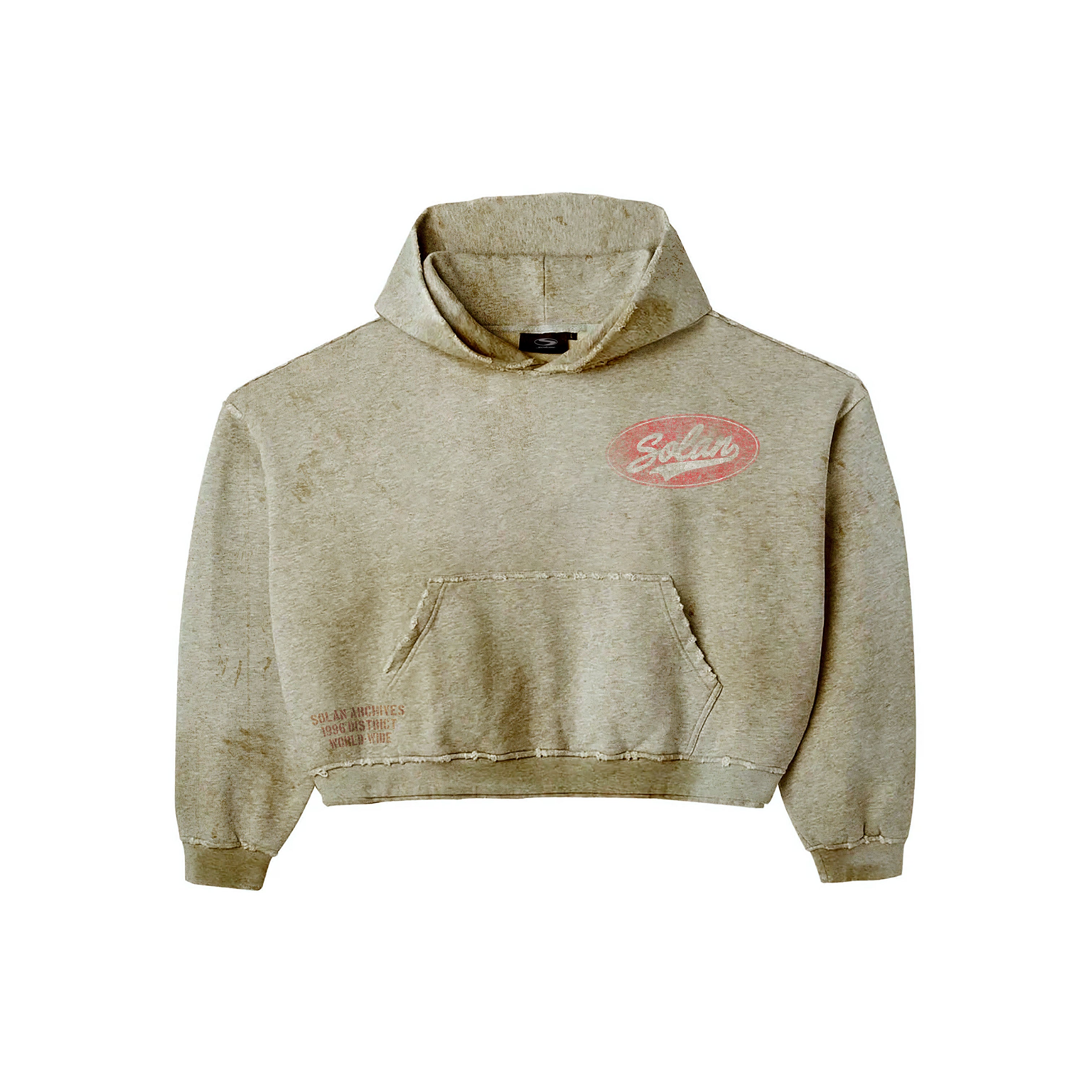 WORN SKATER HOODIE